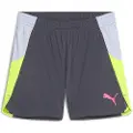 Puma Individualblaze Shorts