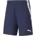 Puma Teamliga 2 Shorts