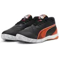 Puma Ibero Iv Innendørs Fotballsko