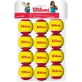 Wilson Starter Tennisballer 12 Enheter