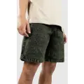Blue Tomato Acid Shorts grønn