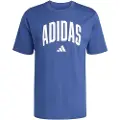 Adidas Collegiate Lineage Graphic Kortarmet T-skjorte