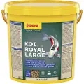 Sera Koi Royal Large 10 l, granulat - pokarm postawowy dla Koi