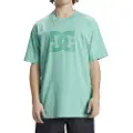 Dc-shoes Dcstar Pigment Kortarmet T-skjorte