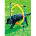 Pawise Agilityring 55 Cm