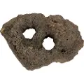 AquaDeco Carved Lava, 2 hole, 10 stk.