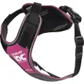 JULIUS K-9 Idc Longwalk Hundesele