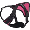 JULIUS K-9 Longwalk Light Hundesele