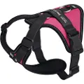 JULIUS K-9 Longwalk Light Hundesele