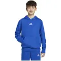 Adidas Essentials Hettegenser
