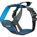 Company of animals Carsafe Crash Tested Dog Hundesele