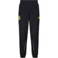 Puma Borussia Dortmund ftblARCHIVE Pants Men, Clothing, Black/Faster Yellow, M