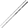 Abu Garcia Beast Pike Baitcastingstang