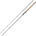 Berkley Lightning Ht Ii Baitcastingstang