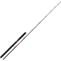 Penn Warfare Light Baitcastingstang