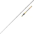 Abu Garcia Beast Pro2 Baitcastingstang
