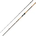 Abu Garcia Beast Pro2 Baitcastingstang
