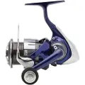 Daiwa Team R 2024 Karpefiskesnelle