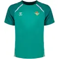 Hummel Real Betis 25/26 Lead 2.0 Kortarmet T-skjorte
