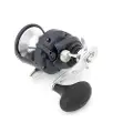 Shimano Torium A Hg Trolling Snelle