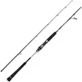 Penn Prevail Iii Jigging Stang