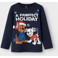 Name it Paw Patrol Jul Topp