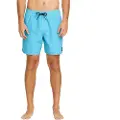 Volcom Center Trunk 17 Boardshorts blå