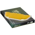 HiFlo Kawasaki Hfa2905 Luftfilter