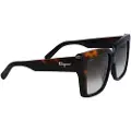 Salvatore Ferragamo Sf1060s Solbriller For Kvinner
