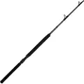 Penn Ally Ii Boat Conventional Jigging Stang