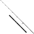 Penn Squadron Iv Jigging Stang