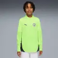 Puma Manchester City Training Quarter-Zip Top Youth, Clothing, Fizzy Apple/Blue Violet, 11-12Y