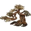 4FISH Trærødder, Bonsai, 30x15x23 cm