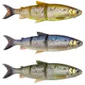 Savage Gear 3d Line Thru Whitefish Mykt Agn 217g 270 Mm