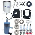 Recmar Suzuki Vannpumpe Sett