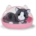 Zapf BABY born My Cat Cookie with Box