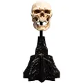Weta Workshop Lord Of The Rings Mini Skull Of A Mordor Orc 14 Cm Figur