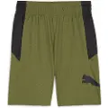 Puma Train Fav Cat Knit 8´´ Shorts