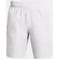 Under Armour Woven Wordmark Shorts