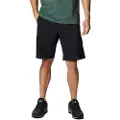Columbia Silver Ridge Plus Size Shorts