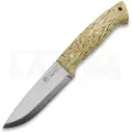 Joker Ranger Scandi kniv, Curly Birch