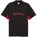 Puma F1 75yrs Regular Polo Men, Clothing, Black, L