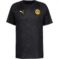 Puma Borussia Dortmund Pre-match Jersey Men, Sport, Black/Yellow Sizzle, L