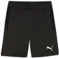 Puma Individual Training Shorts
