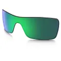 Oakley Mann Batwolf Replacement Lenses
