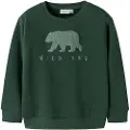Name It Mini Normal Passform Sweatshirt