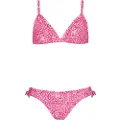 Barts Dilce Fixed Triangle Bikini