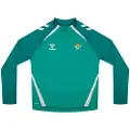 Hummel Real Betis 25/26 Lead 2.0 Junior Collegegenser Med Glidelås