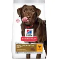 Hills Hundefôr For Store Raser Med Kylling (h604315) 12kg