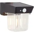 Brilliant Parson G40435/06 Solcelle-udendørs vægbelysning med bevægelsessensor LED (RGB) 2 W Sort